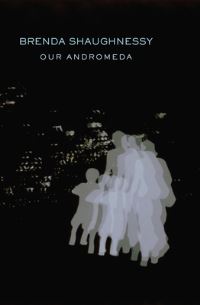 Book Cover for Our Andromeda by Brenda Shaughnessy
