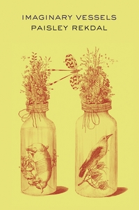 Book Cover for Imaginary Vessels by Paisley Rekdal