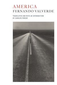 Book Cover for America by Fernando Valverde, Fernando Valverde