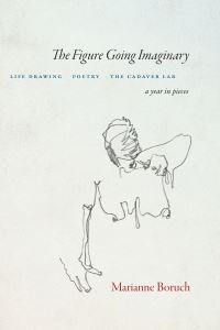 Book Cover for The Figure Going Imaginary by Marianne Boruch