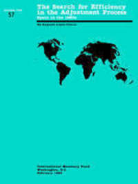 Book Cover for The Search for Efficiency in the Adjustment Process by Augusto LópezClaros