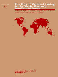 Book Cover for The Role of National Saving in the World Economy by Bijan B Aghevli