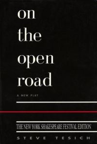 Book Cover for On the Open Road by Steve Tesich