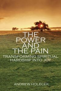 Book Cover for The Power and the Pain by Andrew Holecek