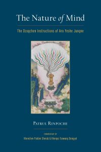 Book Cover for The Nature of Mind by Orgyanjigsmedchoskyidbangpo, Palden Sherab, Tsewang Dongyal