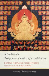 Book Cover for A Guide to The Thirty-Seven Practices of a Bodhisattva by Nagdbanbstandzinnorbu
