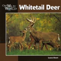 Book Cover for Whitetail Deer by Laura Evert, John F McGee