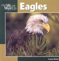 Book Cover for Eagles by Laura Evert, John F McGee
