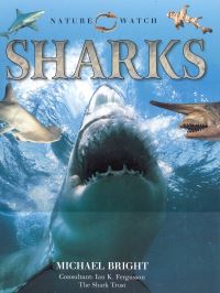 Book Cover for Sharks by Laura Evert, John F McGee