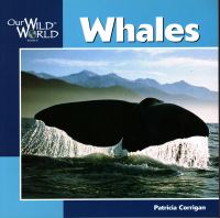 Book Cover for Whales by Patricia Corrigan, John F McGee