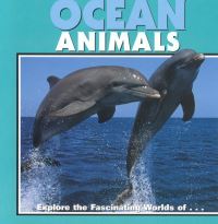 Book Cover for Ocean Animals by John F McGee