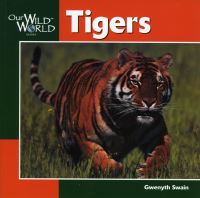 Book Cover for Tigers by Gwyneth Swain, John F McGee