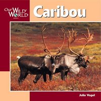 Book Cover for Caribou by Julia Vogel, John F McGee