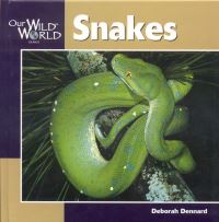 Book Cover for Snakes by Deborah Dennard, Jennifer Dewey