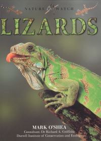 Book Cover for Lizards by Deborah Dennard, Jennifer Dewey