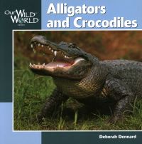 Book Cover for Alligators and Crocodiles by Deborah Dennard, Jennifer Dewey
