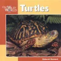 Book Cover for Turtles by Deborah Dennard, Jennifer Dewey