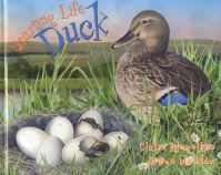Book Cover for Duck by Claire Llewellyn, Simon Mendez