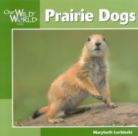Book Cover for Prairie Dogs by Marybeth Lorbiecki