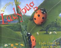 Book Cover for Ladybug by Claire Llewellyn, Simon Mendez