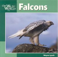 Book Cover for Falcons by Wayne Lynch, Sherry Neidigh