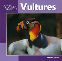 Book Cover for Vultures by Wayne Lynch, Sherry Neidigh