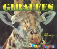 Book Cover for Giraffes by Jill Anderson