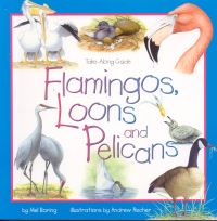 Book Cover for Flamingos, Loons & Pelicans by Mel Boring