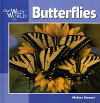 Book Cover for Butterflies by Melissa Stewart, Andrew Recher