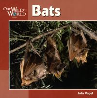 Book Cover for Bats by Julia Vogel, Andrew Recher