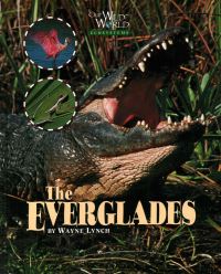 Book Cover for The Everglades by Wayne Lynch