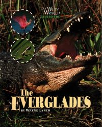 Book Cover for Everglades by Wayne Lynch