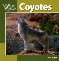 Book Cover for Coyotes by Julia Vogel