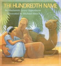 Book Cover for The Hundredth Name by Shulamith Levey Oppenheim