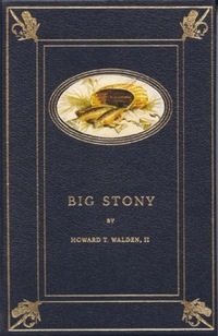 Book Cover for Big Stony by Howard T Walden