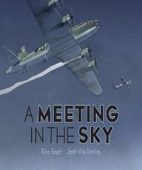 Book Cover for A Meeting in the Sky by Rina Singh