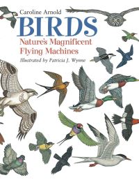 Book Cover for Birds by Caroline Arnold