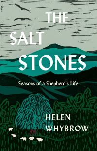 Book Cover for The Salt Stones by Helen Whybrow