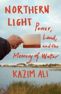 Book Cover for Northern Light by Kazim Ali
