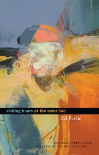 Book Cover for Visiting Hours at the Color Line by Edward M Pavlic