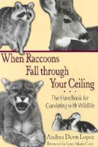 Book Cover for When Raccoons Fall Through Your Ceiling by Andrea Dawn Lopez