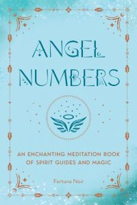 Book Cover for Angel Numbers by Fortuna Noir