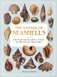 Book Cover for The Wonder of Seashells by Melissa Hobson