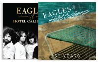 Book Cover for Eagles and Hotel California by Sean Egan