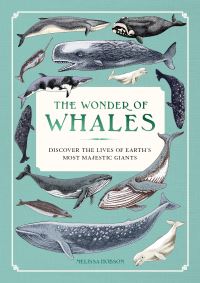 Book Cover for The Wonder of Whales by Melissa Hobson