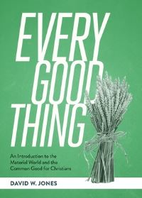 Book Cover for Every Good Thing by David W Jones