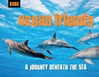 Book Cover for Ocean Friends by Anna Krusinski
