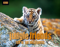 Book Cover for Jungle Friends by June Eding