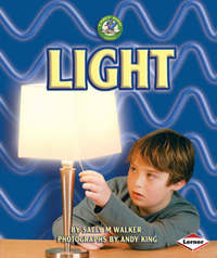 Book Cover for Light by Sally M Walker