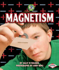 Book Cover for Magnetism by Sally M Walker